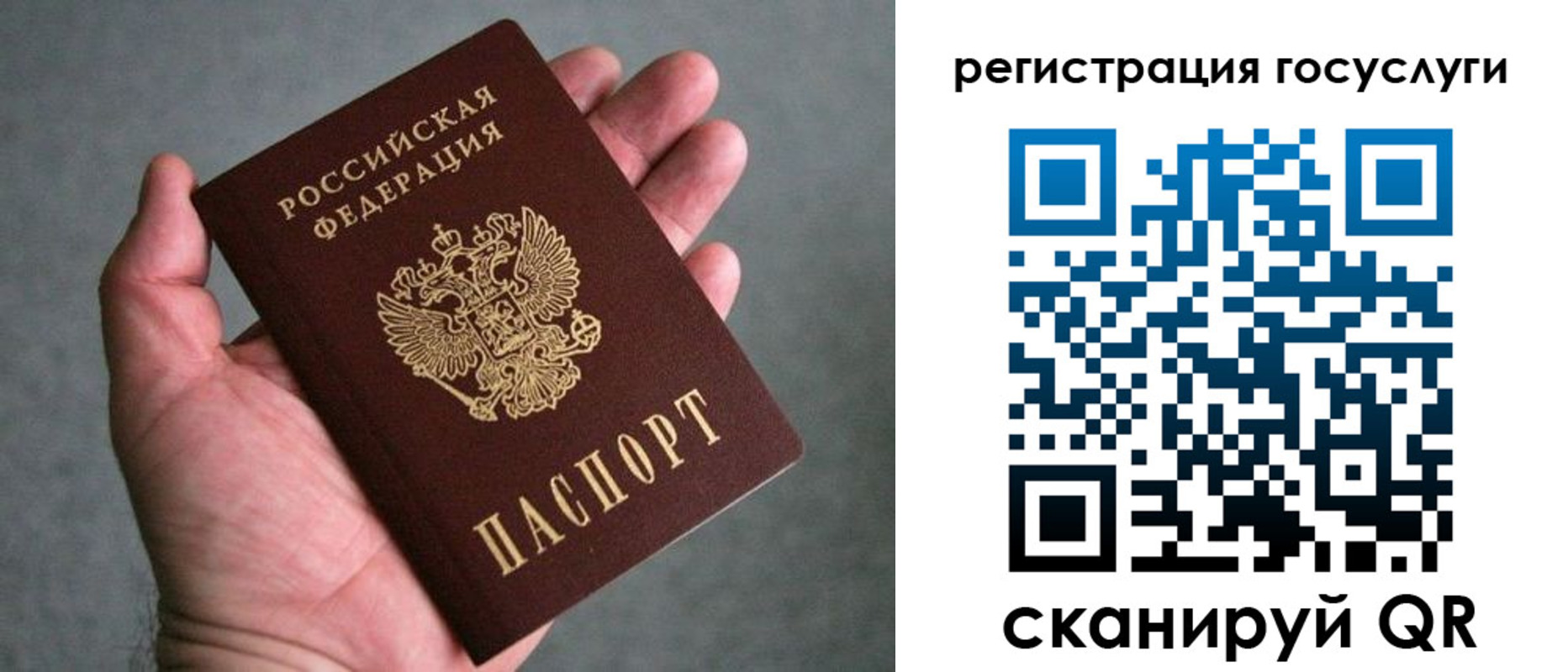 прописка поиск в Заринске